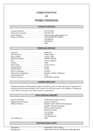 Classic SA Shaded CV template
