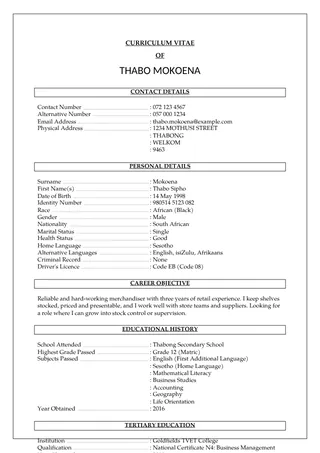 Classic SA CV template