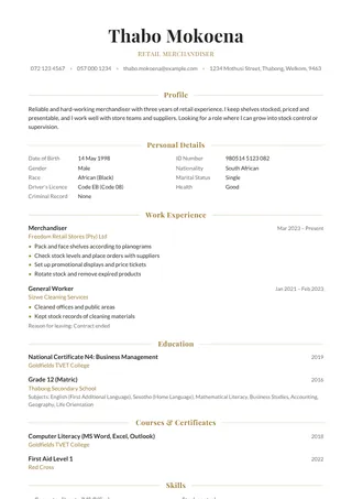 Elegant Serif CV template