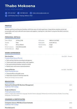 Horizon CV template