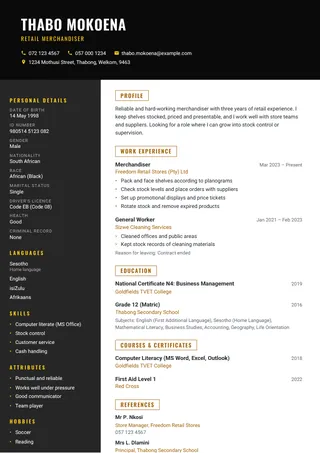 Jozi CV template
