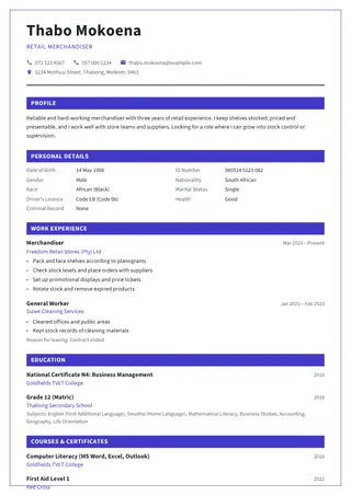 Metro CV template