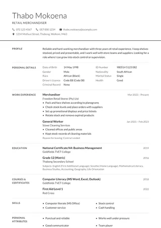 Minimal Grey CV template