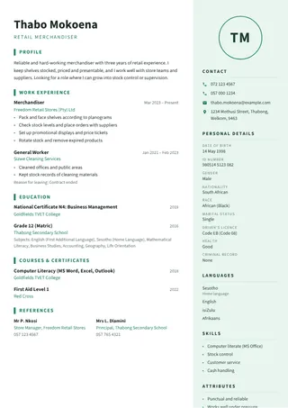 Mint Clean CV template