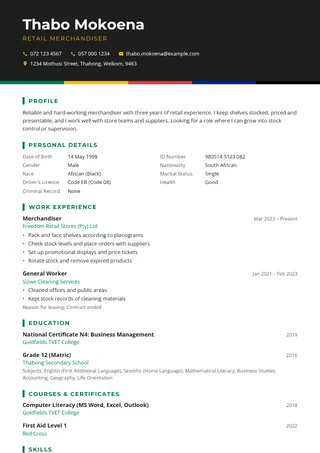 Mzansi Pride CV template
