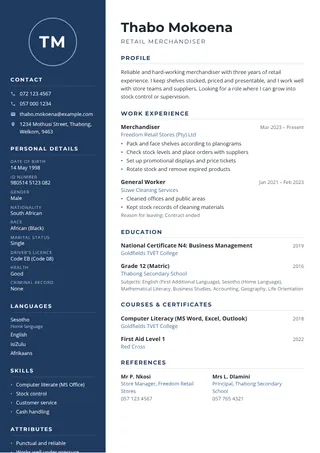Navy Executive CV template