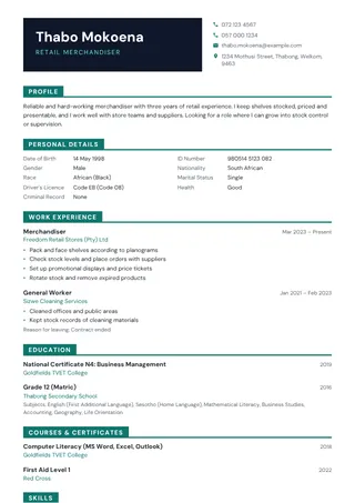 Onyx CV template