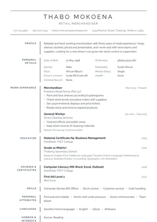 Platinum CV template