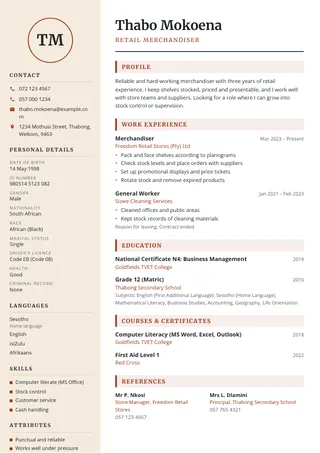 Sandstone CV template