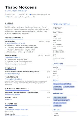 Skyline CV template