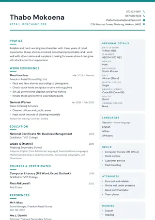 Slate Split CV template