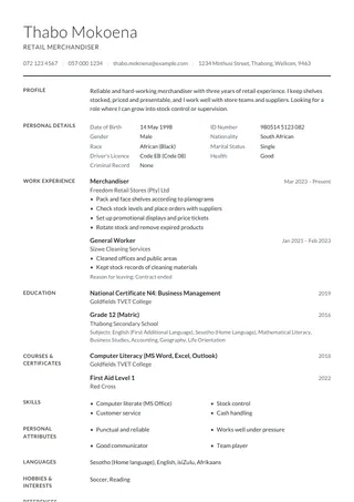 Stone CV template